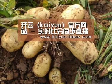种植基地六