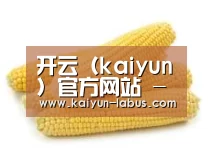 产品名称五