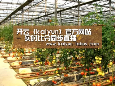种植基地二(图1)