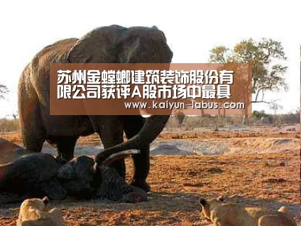 Kaiyun官网入口 - 首页通道