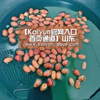 Kaiyun官网入口 - 首页通道