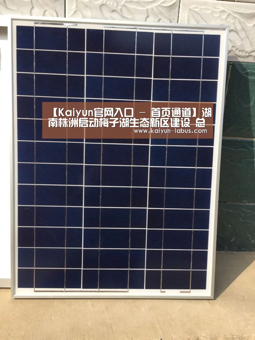 Kaiyun官网入口 - 首页通道